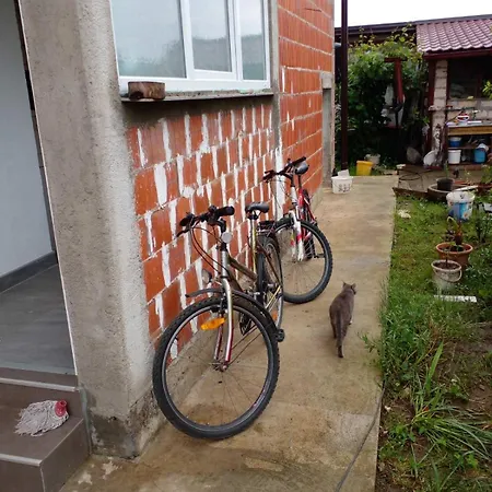 Maksimovic * Banja Luka