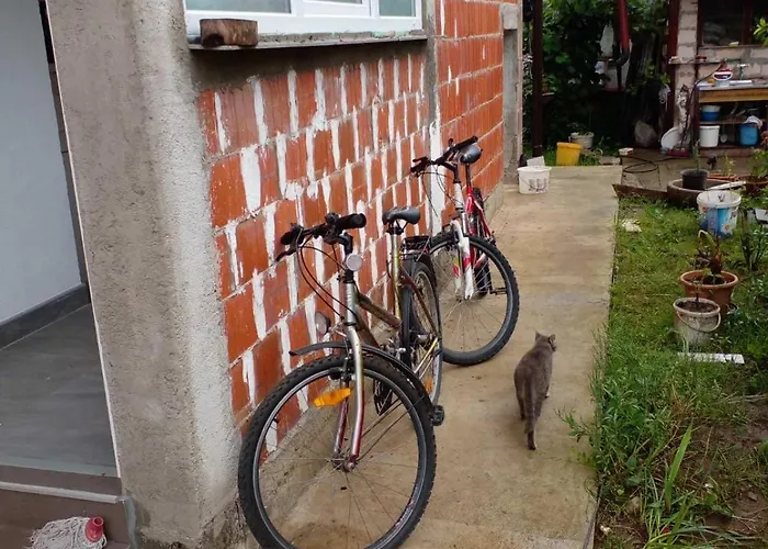 Maksimovic * 巴尼西卢卡